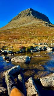 Arctic Panorama Lodge with private Sauna - 2