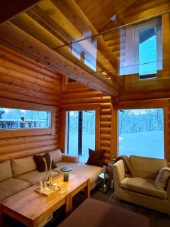Arctic Panorama Lodge with private Sauna - 5