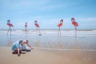 Flamingo Hai Tien - 1