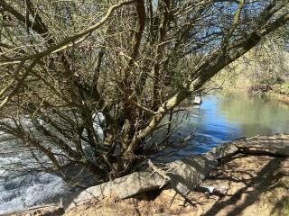Eclipse Viewing House Valderas LEÓN - 7