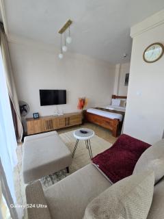 Park view Studio - 4