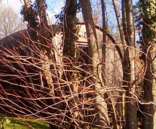 " village tonneaux de tirpoil " - 7