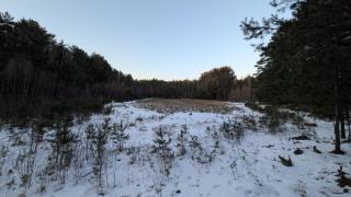 Leśna Enklawa - Dom pośród lasu na wyłączność z balią - 2