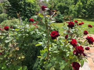 A beautiful apartment in the heart of Yerevan - 2