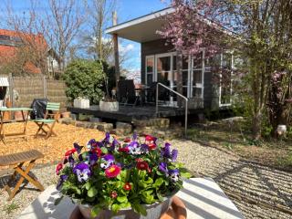 Tiny Ferienhaus Kelze - 0