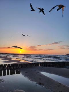 Apartament NATURAL 4 Gardenia Dziwnów z widokiem na morze EPapartamenty - 2