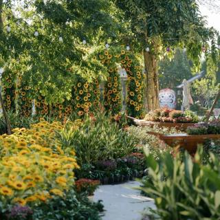 Khoáng Nóng Ohayo Onsen, Lynn Times Thanh Thuỷ, Phú Thọ Hotel - 1