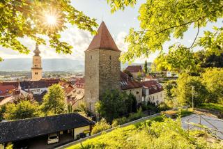 Hütte auf der Koralpe - Natur & Ruhe - 5