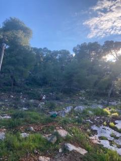 Agistri Island Dream - 5