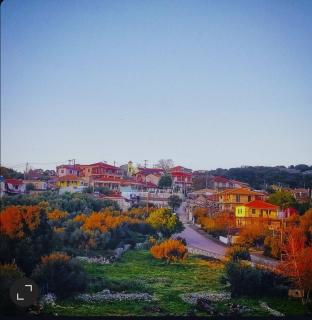 Το Λαϊνάκι by Fox Tale Guest House - 9