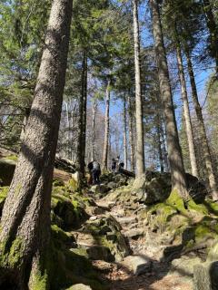 Ferienwohnung Menz - Alte Mühle - mit Milseburgblick und Gartenpool - 8
