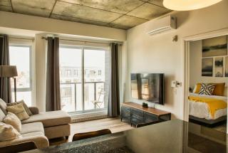 Caïman - Le1006 - 2