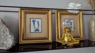 Ferienwohnung Sorgenfrei - 1