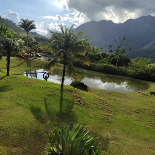 Chalés Cabanas da Serra - 9