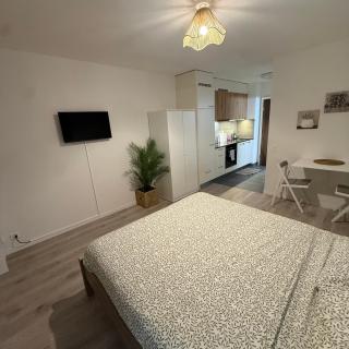 Flor- Sakura Gare Lausanne - 3