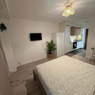 Flor- Sakura Gare Lausanne - 2