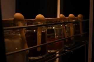 Modern 2BR with Pool & Gym -Near la Marsa - Tunis - 7