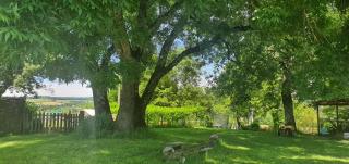 Holidayhomepoujol - Montfermier - 4