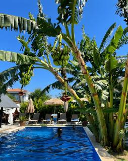 Odabaşı Su Alaçatı - 9