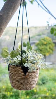 Lemon Tree - Private Garden & View - 2