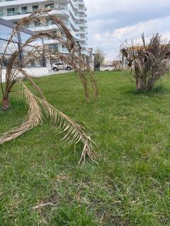 Studio Matias 2 Casa Del Mar - 8