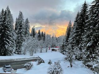 Alpine Family Duplex with amazing terrace - 3