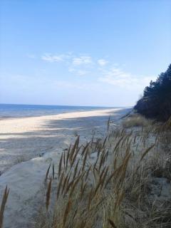 Pod Wydmą pokoje gościnne, smażalnia ryb - 2