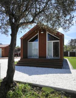 Finca O Loureiro - 7