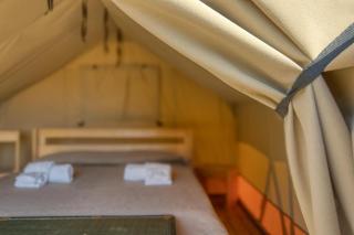 Masseria Prisuti - Punta Prosciutto - 4