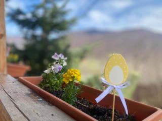 Chalet Husky-Pet Friendly&Private - 2