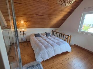 La Presqu'Île , charmant appartement maison en duplex - 9