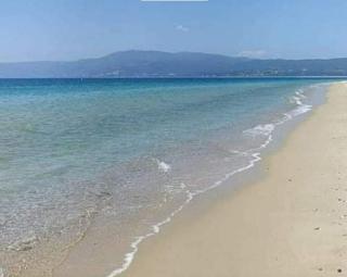 Pearl Apartments1 - 7