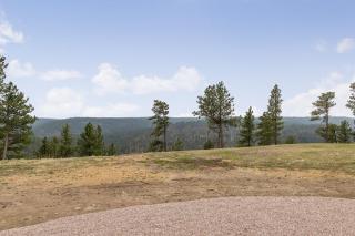 The Starry Pines - 7
