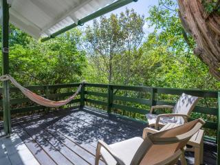 Trupial - The green flamingo - 5