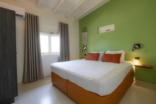 Trupial - The green flamingo - 4