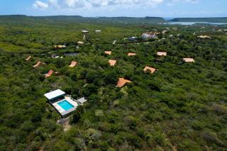 Trupial - The green flamingo - 3