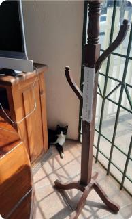 Casa de Ofe Hostal - 2