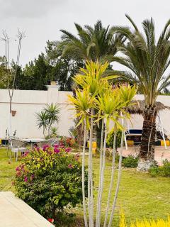 شاليه الفهدي - 4