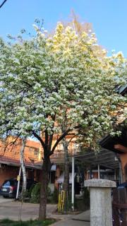 Apartments & Rooms -PANORAMA MDLL BELGRADE - 7