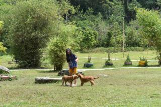 Wetland Homestay Coorg - 3