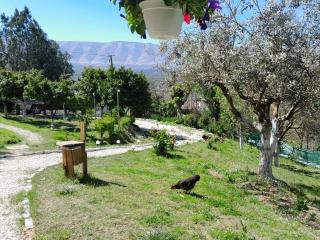 bujtina Musta - Berat - 7