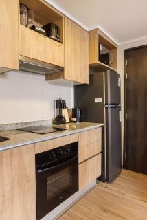 Modern and comfortable 1BR 1BA in Santiago - 2