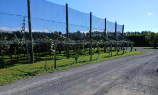 Harbour Heights Cabins - 5