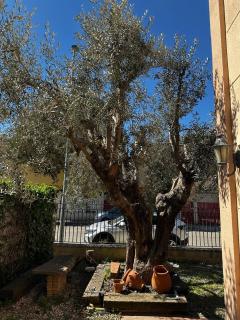 Amplio y Cómodo chalet a 15 minutos del centro con piscina y pistas de tenis - 7