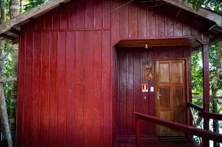 Vista do Lago Jungle Lodge - 9