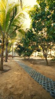 M Beach Villa - 4