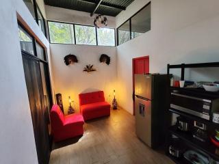 Howler Monkey Potrero Beach - 0