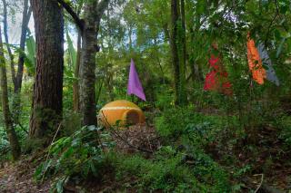 Hotel Misión Grand Valle de Bravo - 4