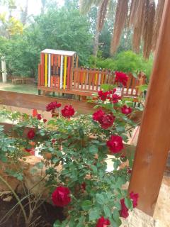 La tente tamaghza - 6