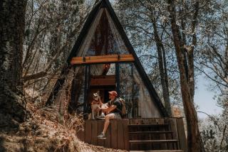 WANDER CABIN La Marquesa - 8